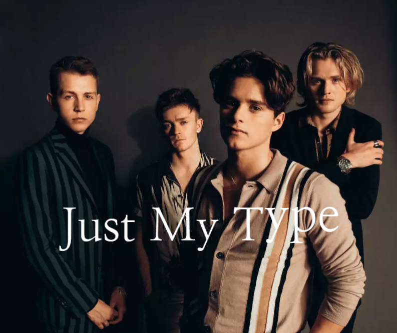 the-vamps-just-my-type